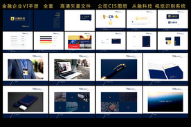 金融科技公司企业VI视觉识别