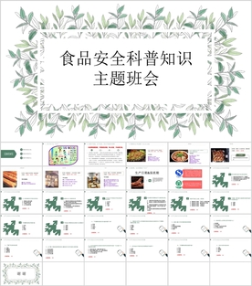 食品安全科普知识主题班会宣讲会