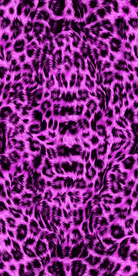 豹纹 彩色豹纹 换色豹纹 大豹