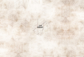 斑驳白色水泥墙划痕效果