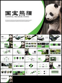 保护动物吃竹子国宝熊猫野生动物