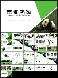 保护动物吃竹子国宝熊猫野生动物