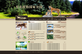东北虎 专题网站 网站 网页