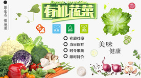 有机蔬菜背景墙