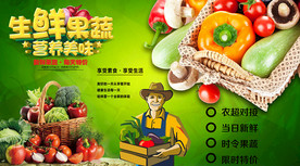 有机蔬菜背景墙