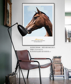 动物装饰画 简约装饰画