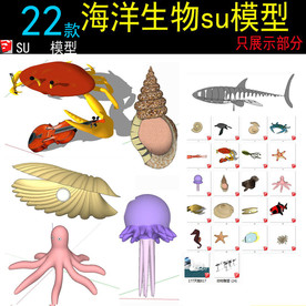 海洋动物模型