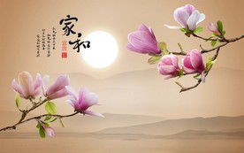 家和富贵花好月圆玉兰花电视背景