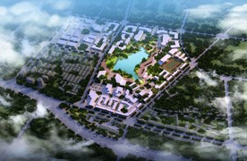 湖边湿地景观图