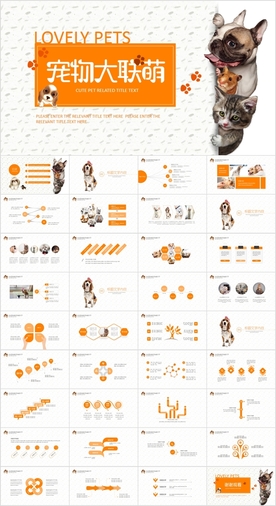 宠物狗宠物医院宠物食品PPT