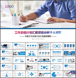 项目分析报告PPT