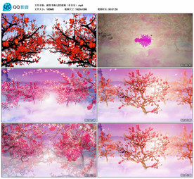 踏雪寻梅 唯美梅花舞台背景视频