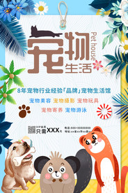 宠物 宠物生活