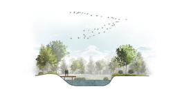 小清新景观河道断面图PSD