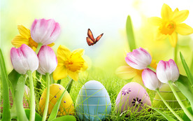 清新郁金香花草电视背景墙