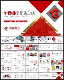 红色华夏银行金融理财报告总结