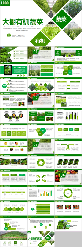 有机蔬菜有机蔬果大棚蔬菜PPT