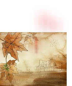 flash视频  文字视频