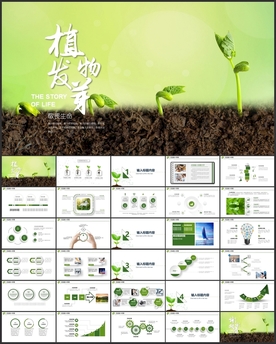 绿色植物发芽生长PPT