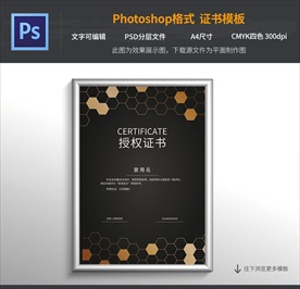 最新授权证书模板