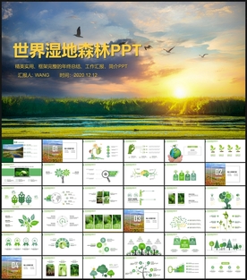保护森林湿地PPT