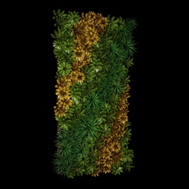 植物墙模型