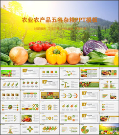 五谷杂粮农产品介绍宣传汇报