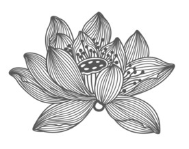 荷花书签 莲花白描 线条边框底