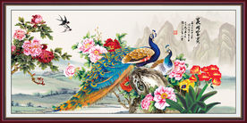 牡丹花
