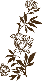 时尚花纹 矢量花纹 花瓣花朵