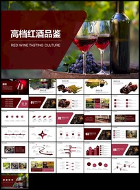 高档红酒品鉴红酒文化酒窖珍藏