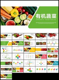 绿色有机生态蔬菜种植大棚蔬菜