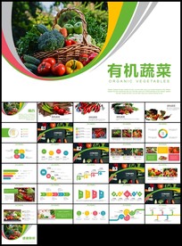 清新绿色蔬菜大棚蔬菜有机蔬菜