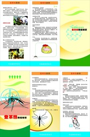 登革热防空知识三折页