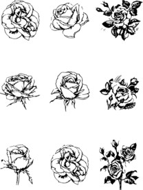 速写高清矢量图花朵素材