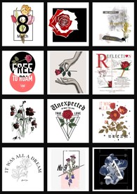 创意玫瑰花花卉