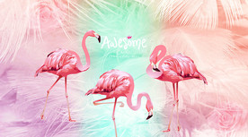 火烈鸟背景墙