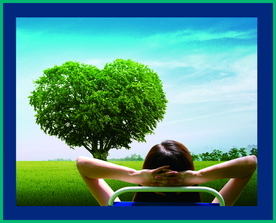 背靠大树好乘凉