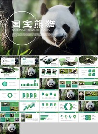 保护动物吃竹子国宝熊猫野生动物