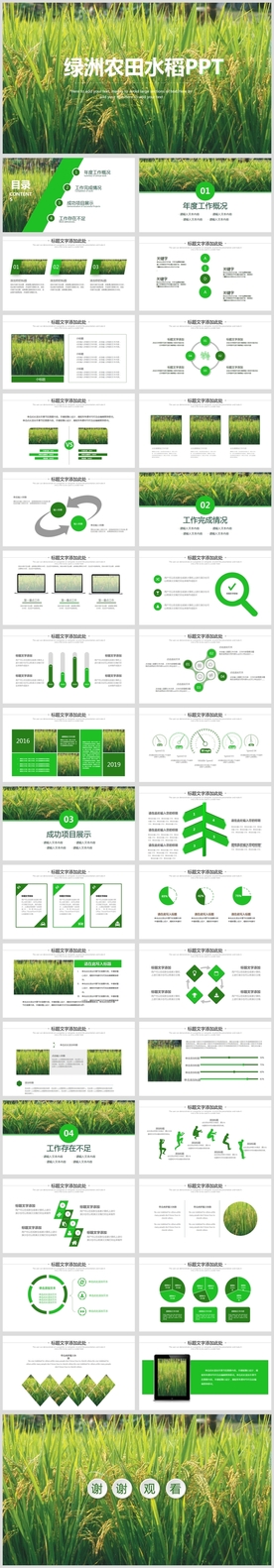绿色农田稻田水稻梯田绿洲PPT