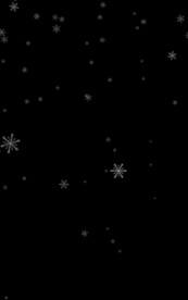 竖屏 雪花带通道1920