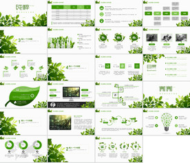 农业项目汇报PPT