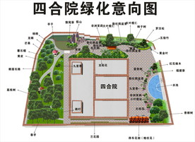 别墅 四合院绿化示意图