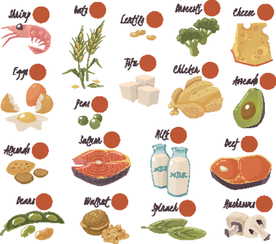 矢量食谱食物素材