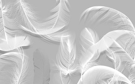 灰色白色羽毛装饰画 TIF分层
