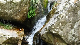 山泉流水实拍视频