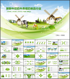 光明乳业新鲜牛奶奶牛牧场养殖