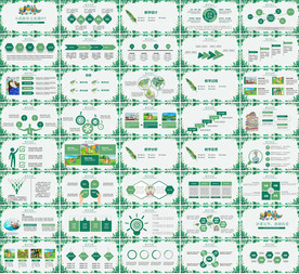 期末考试PPT 寒假培训PPT