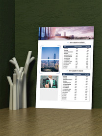 企业商务宣传DM单