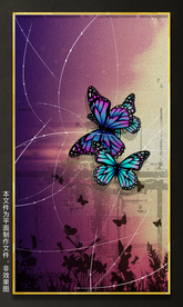 蝴蝶设计